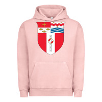 Pigment Salmon Rensselaer Polytechnic Institute Urban Hoodie - linhVisuals