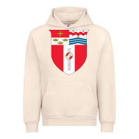 Sandshell Rensselaer Polytechnic Institute Urban Hoodie - linhVisuals