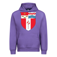 Tulip Rensselaer Polytechnic Institute Urban Hoodie - linhVisuals