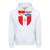 White Rensselaer Polytechnic Institute Urban Hoodie - linhVisuals
