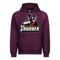 Mauve Wine the-adirondack-thunder-pen Urban Hoodie - linhVisuals
