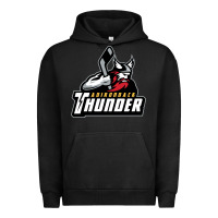 Pigment Black the-adirondack-thunder-pen Urban Hoodie - linhVisuals