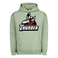 Pigment Oil Green the-adirondack-thunder-pen Urban Hoodie - linhVisuals