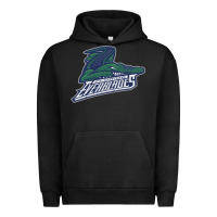 Pigment Black the-florida-everblades-pen Urban Hoodie - linhVisuals