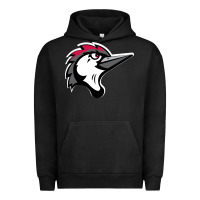 Pigment Black fayetteville woodpeckers Urban Hoodie - linhVisuals