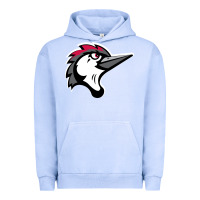 Pigment Grape Ice fayetteville woodpeckers Urban Hoodie - linhVisuals