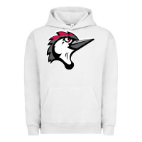 Pigment Lunar Rock fayetteville woodpeckers Urban Hoodie - linhVisuals