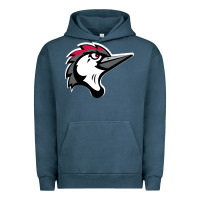 Pigment Midnight Navy fayetteville woodpeckers Urban Hoodie - linhVisuals