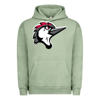 Pigment Oil Green fayetteville woodpeckers Urban Hoodie - linhVisuals