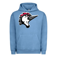 Pigment Pebble Blue fayetteville woodpeckers Urban Hoodie - linhVisuals