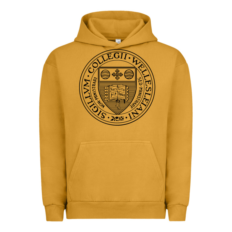 Wellesley College Urban Hoodie by linhVisuals | Teevron
