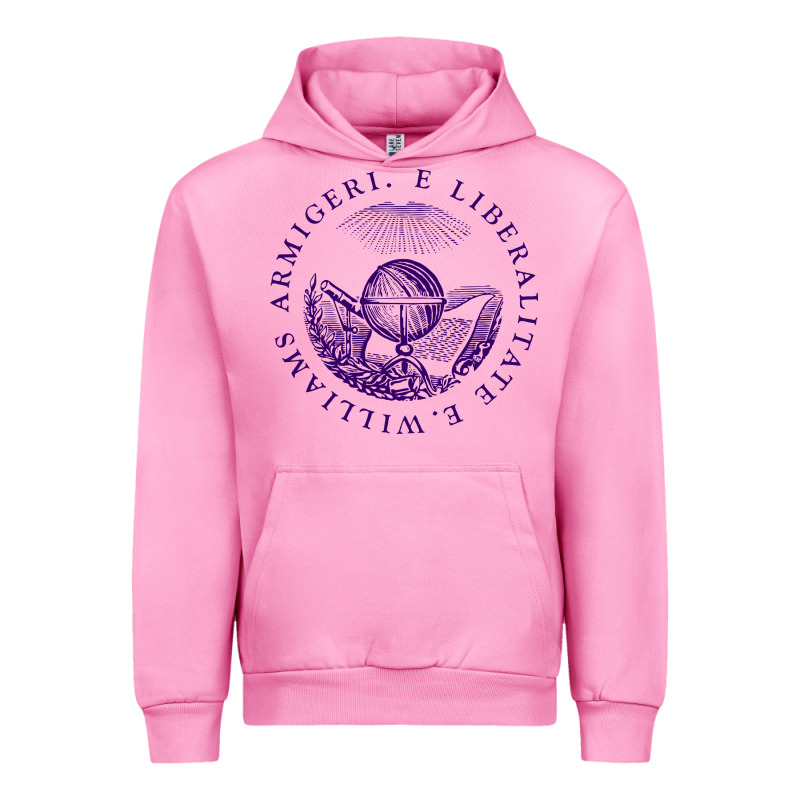 Williams College Urban Hoodie by linhVisuals | Teevron