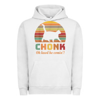 Pigment Lunar Rock chonk cat scale meme retro oh lawd he comin' memes t shirt Urban Hoodie - linhVisuals