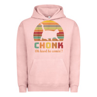 Pigment Salmon chonk cat scale meme retro oh lawd he comin' memes t shirt Urban Hoodie - linhVisuals