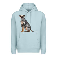 Blue Mist catahoula leopard dog Premium Hoodie - LillyAllenDesigns