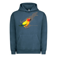 Cute Screaming Parrot, Birb Memes, Funny T Rex Sun Conure T Shirt Urban Hoodie | Teevron