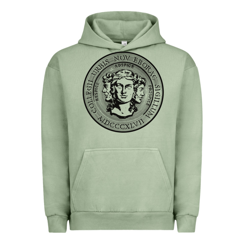 City College Of New York Seal Urban Hoodie by linhVisuals | Teevron