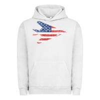 Pigment Lunar Rock f 117 stealth nighthawk aircraft american flag f117 t shirt Urban Hoodie - linhVisuals