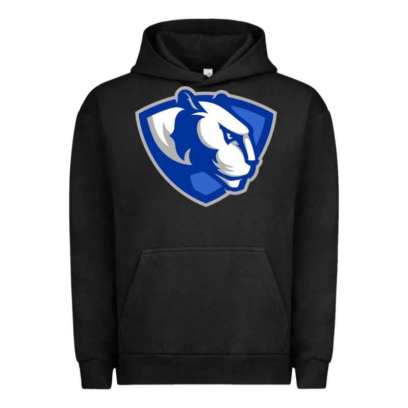 The Eastern Illinois Panthers Urban Hoodie by linhVisuals | Teevron