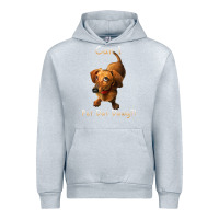 Heather Grey can i pet dat dawg funny dog dachshund lover doxie gift t shirt Urban Hoodie - linhVisuals