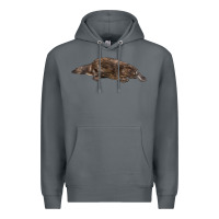 Rock Platypus Premium Hoodie - LillyAllenDesigns