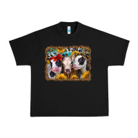 Black western sunflower heifers Urban Heavy Tee - Jasminsmagicworld