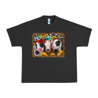 Pigment Black western sunflower heifers Urban Heavy Tee - Jasminsmagicworld