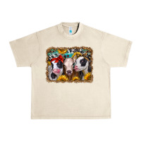 Sandshell western sunflower heifers Urban Heavy Tee - Jasminsmagicworld