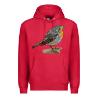 Cardinal yellow breast Premium Hoodie - LillyAllenDesigns