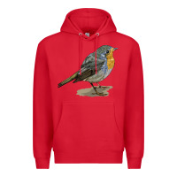 Red yellow breast Premium Hoodie - LillyAllenDesigns