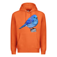 Carrot Mountain Bluebird Premium Hoodie - LillyAllenDesigns
