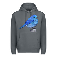 Rock Mountain Bluebird Premium Hoodie - LillyAllenDesigns