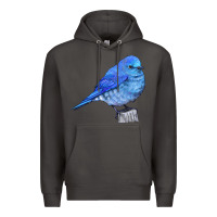 Smoke Mountain Bluebird Premium Hoodie - LillyAllenDesigns