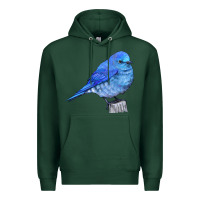 Sports Green Mountain Bluebird Premium Hoodie - LillyAllenDesigns