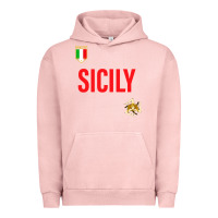 Pigment Salmon sicily Urban Hoodie - baoMotion