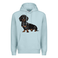 Blue Mist Dachshund Dog Illustrations Premium Hoodie - LillyAllenDesigns