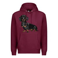 Burgundy Dachshund Dog Illustrations Premium Hoodie - LillyAllenDesigns