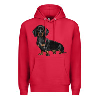 Cardinal Dachshund Dog Illustrations Premium Hoodie - LillyAllenDesigns