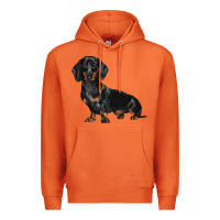 Carrot Dachshund Dog Illustrations Premium Hoodie - LillyAllenDesigns