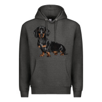 Charcoal Heather Dachshund Dog Illustrations Premium Hoodie - LillyAllenDesigns