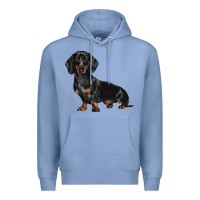 Colony Blue Dachshund Dog Illustrations Premium Hoodie - LillyAllenDesigns