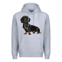 Heather Grey Dachshund Dog Illustrations Premium Hoodie - LillyAllenDesigns