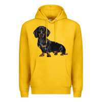 Lemon Dachshund Dog Illustrations Premium Hoodie - LillyAllenDesigns