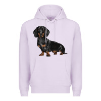 Lilac Dachshund Dog Illustrations Premium Hoodie - LillyAllenDesigns
