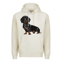 Oatmeal Heather Dachshund Dog Illustrations Premium Hoodie - LillyAllenDesigns
