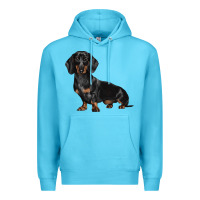 Ocean Blue Dachshund Dog Illustrations Premium Hoodie - LillyAllenDesigns