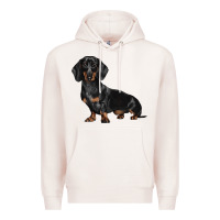 Pale Pink Dachshund Dog Illustrations Premium Hoodie - LillyAllenDesigns