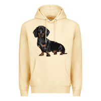 Pina Colada Dachshund Dog Illustrations Premium Hoodie - LillyAllenDesigns