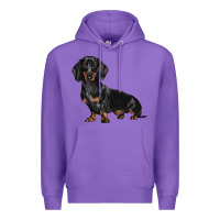 Purple Dachshund Dog Illustrations Premium Hoodie - LillyAllenDesigns
