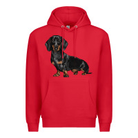 Red Dachshund Dog Illustrations Premium Hoodie - LillyAllenDesigns